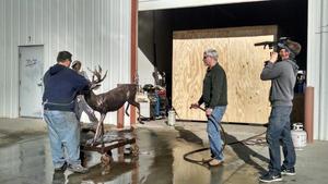 Video about bronze sculpture production with Steve LeBlanc, sculptor and Carey Hosterman of Rocky Mountain Bronze Shop in Loveland Colorado